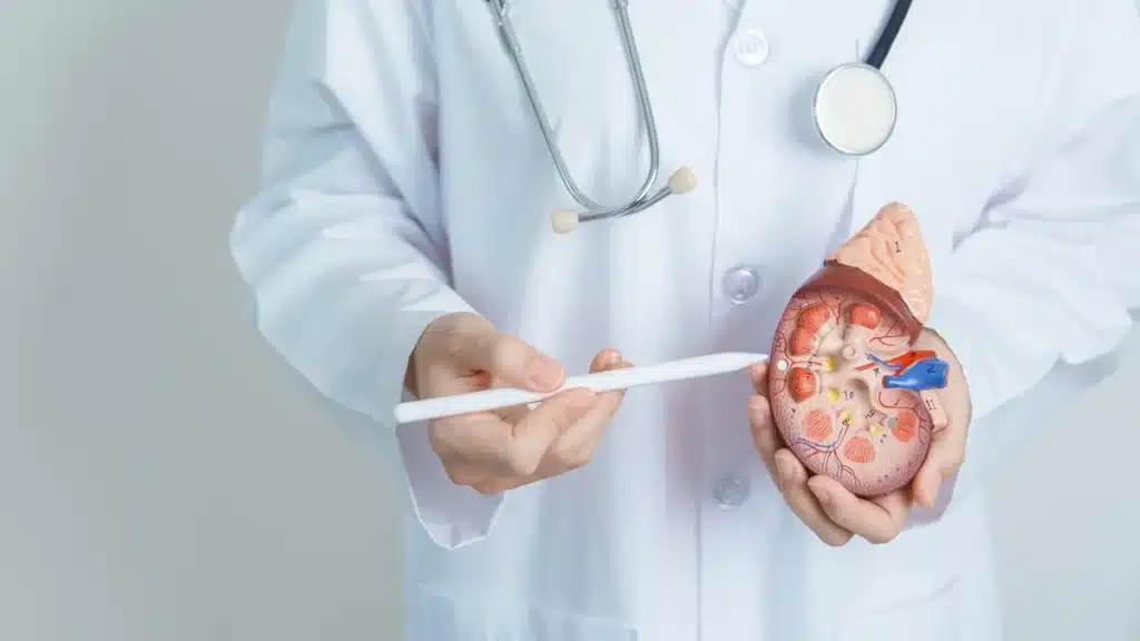 UROLOGIA